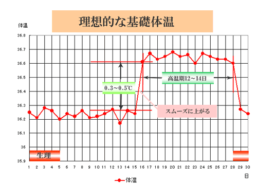 理想的な基礎体温