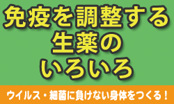 免疫を調整する生薬のいろいろ