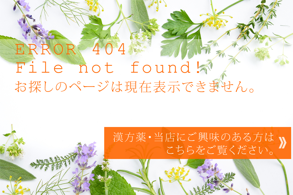 ERROR 404 お探しのページは現在表示できません！
